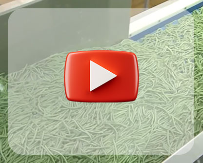 Processing Plant Tour