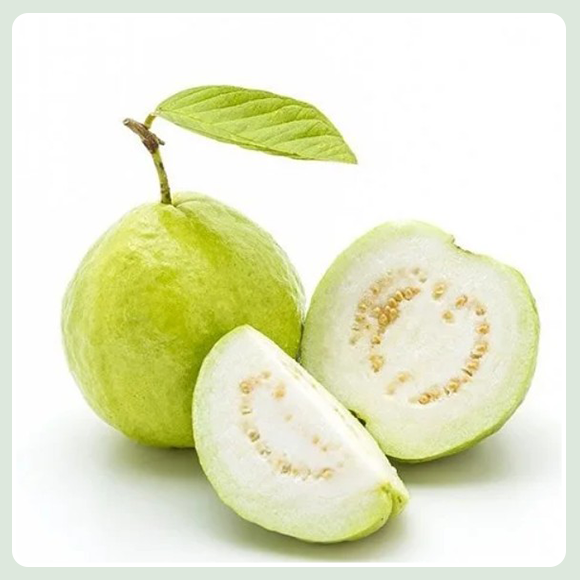 GUAVA