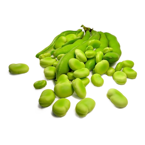 BROAD BEANS