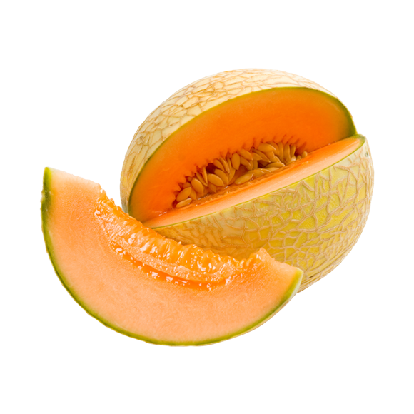 CANTALOUPE