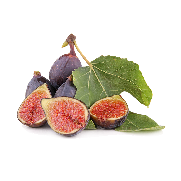 FIGS