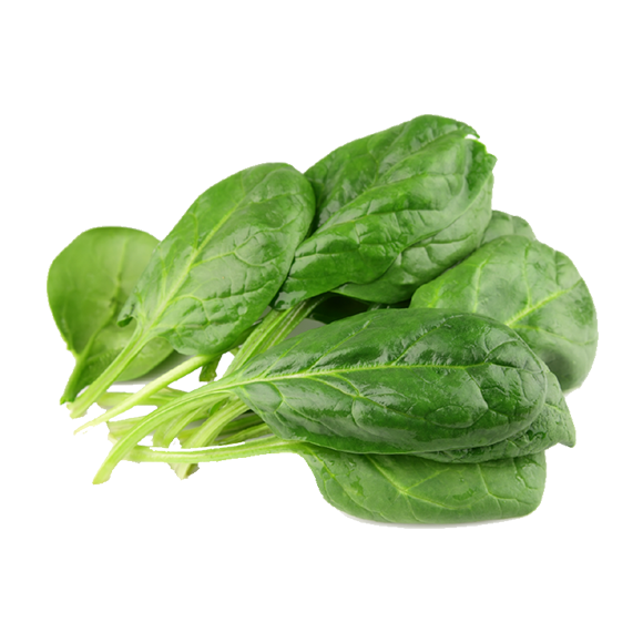 SPINACH
