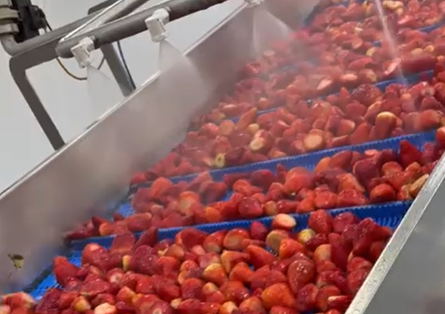 Мойка продукции